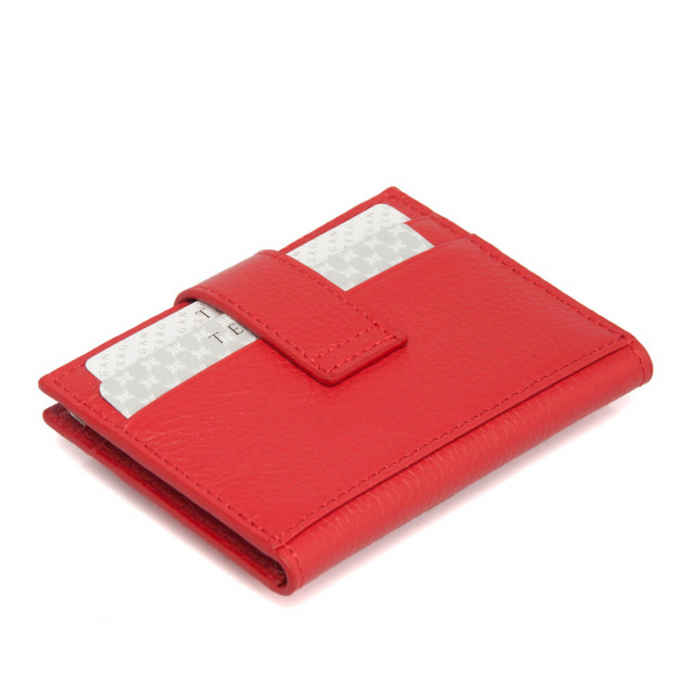 Leather case for documents in red