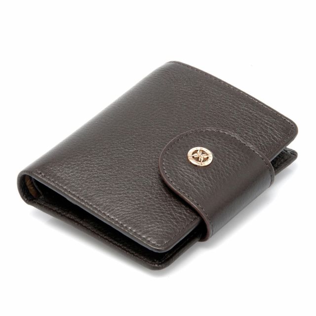 Mini Foldover Wallet